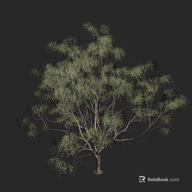 Tall Lush Arbor With Green Foliage And Outstretched Branches In Natural Form 3d model 
