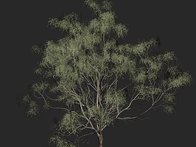 Tall Lush Arbor With Green Foliage And Outstretched Branches In Natural Form 3d model