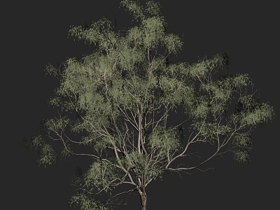 Tree Low Model Tree Game Tree Wild Desert 3d model