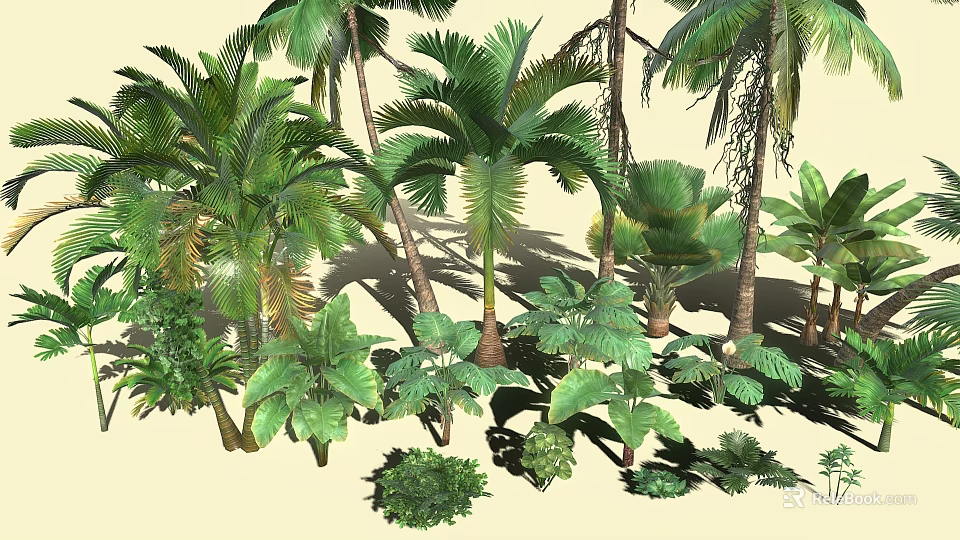 Diverse Tropical Plant Collection Featuring Palm Trees Large Leafy Greenery And Various Ferns 3d model 