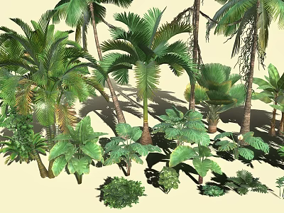 Diverse Tropical Plant Collection Featuring Palm Trees Large Leafy Greenery And Various Ferns 3d model