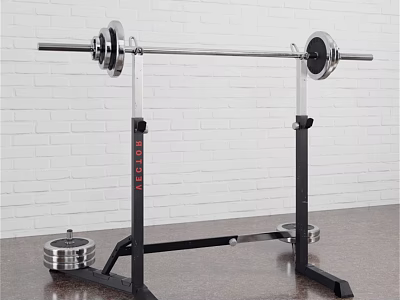 Sturdy Barbell Rack With Barbell And Weight Plates In Gym Workout Space 3d model