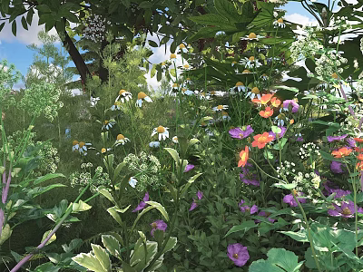 Colorful Mixed Flowers In Sunlit Garden With Purple Orange White Blooms And Green Leaves 3d model
