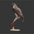 Modern Eagle Carving 3d model