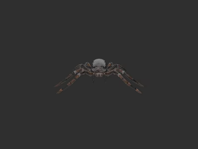 Realistic Reptile 3D Model With Brown Legs On Dark Background Surface 3d model