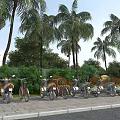 Roadside Parking Facility For Motorcycles And Bicycles With Palm Trees And Greenery