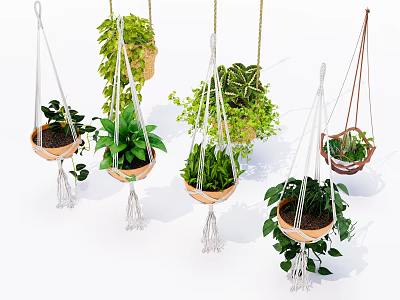 Hanging Basket Plants With Macrame Hangers And Leafy Greenery For Indoor Decor 3d model