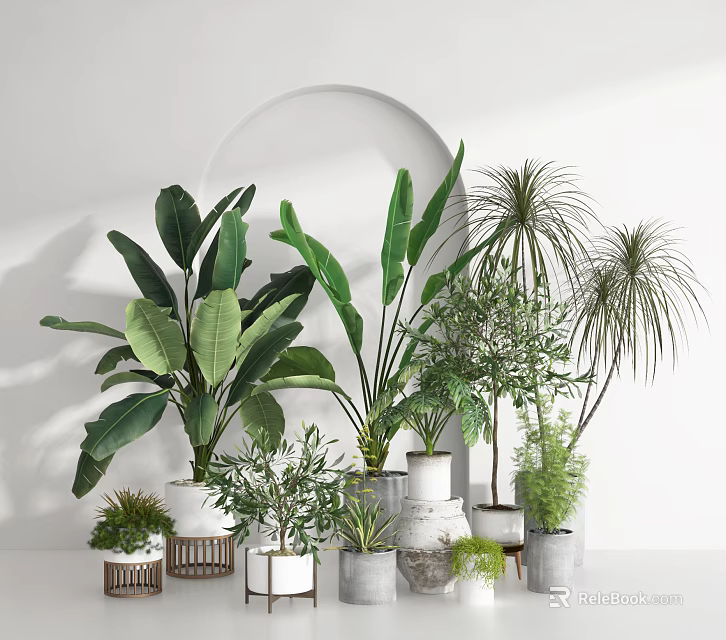 Potted Plants With Various Leaves In Different Material Pots On White Background With Arched Decor 3d model 