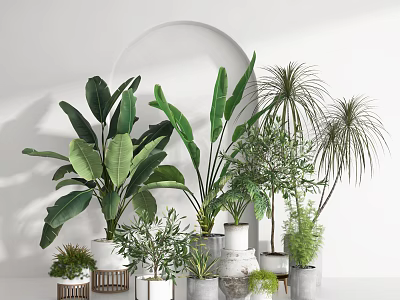 Potted Plants With Various Leaves In Different Material Pots On White Background With Arched Decor 3d model