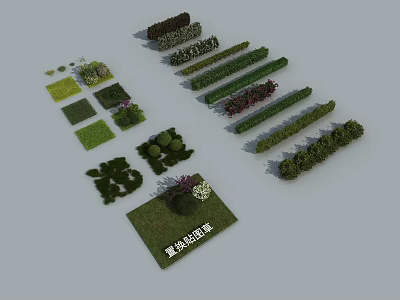 Various Types of Green Shrubs for Garden Landscape Design and Decoration 3d model