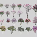 Various Types Of Colorful Flowering Trees With Diverse Foliage And Shapes
