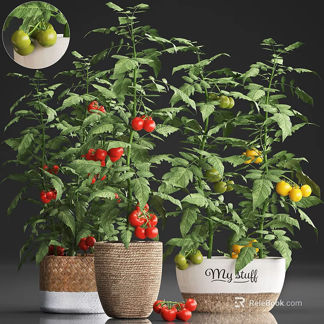 Tomato Bonsai Potted Plants With Red Yellow Tomatoes Green Leaves And Jute Wrapped Pots 3d model 