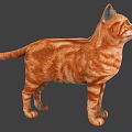Orange Tabby Cat Standing in Detailed 3D Model with Realistic Fur Texture