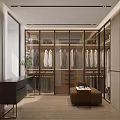 Modern Walk in Closet with Glass Doors Hanging Clothes and Wooden Storage Cabinets