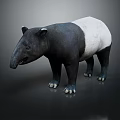Realistic black and white tapir with long snout standing on dark background