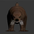 Orange Red Otter 3D Model Standing On Gray Smooth Background