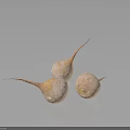 Three Spherical Plants With Slender Roots And Spotted Surface On Dark Smooth Background