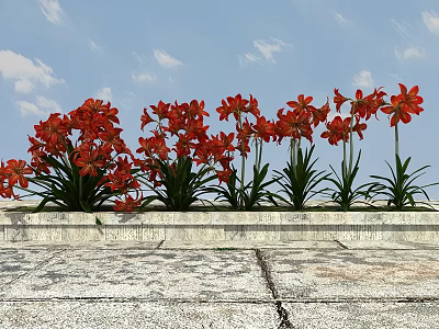 Vibrant Red Flowers With Green Leaves On Stone Platform Under Blue Sky 3d model