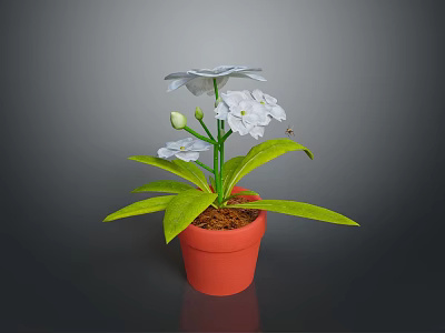 Beautiful White Flowers With Fresh Green Leaves In Orange Pot And Flower Bud 3d model