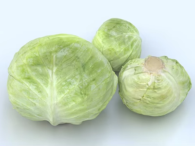 Three Fresh Green Cabbage on White Background Raw Vegetables for Cooking 3d model