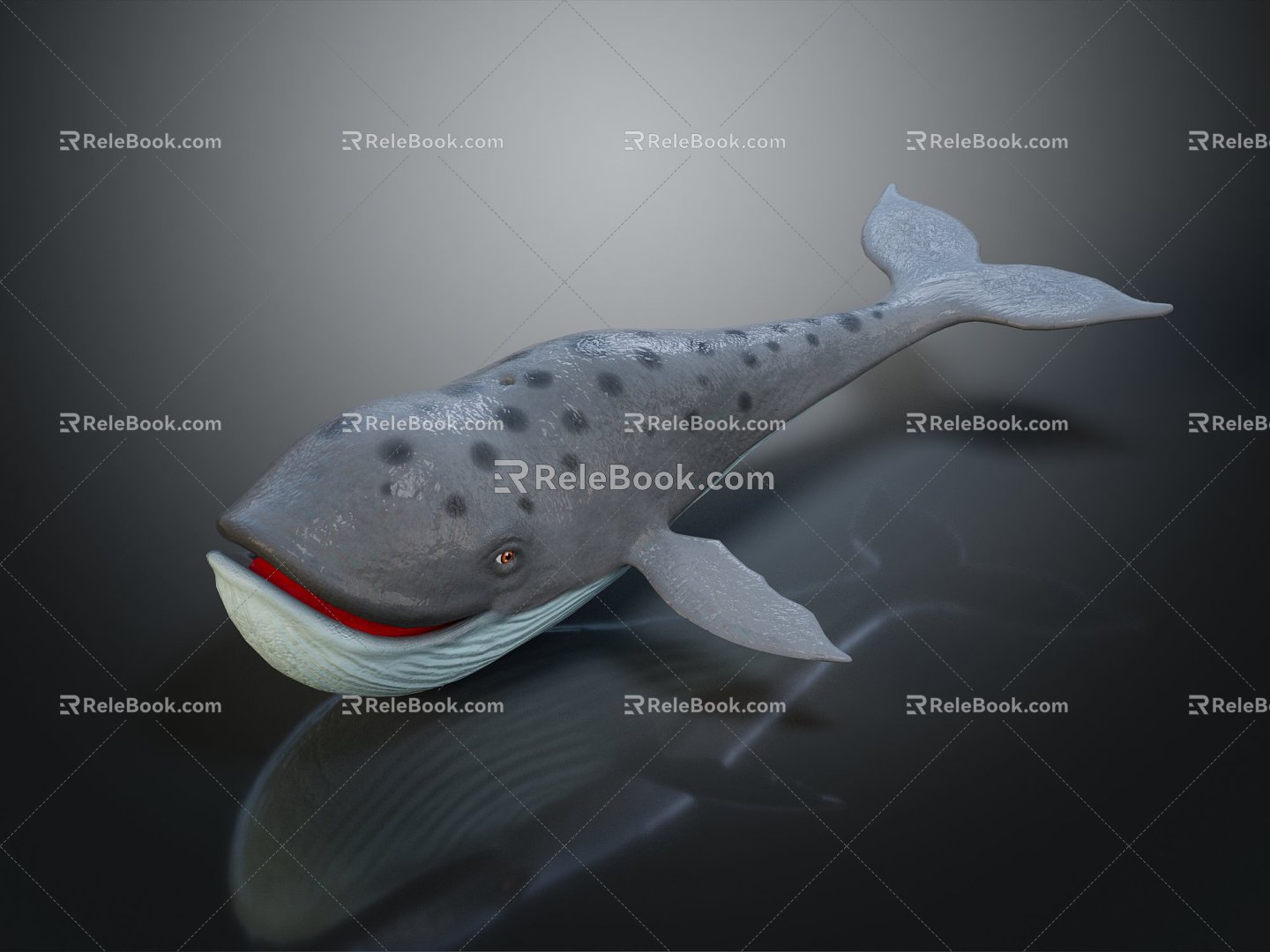 Modern Whale Sperm Whale Cartoon Whale 3d model