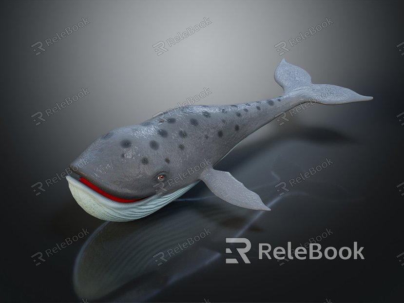 Modern Whale Sperm Whale Cartoon Whale model