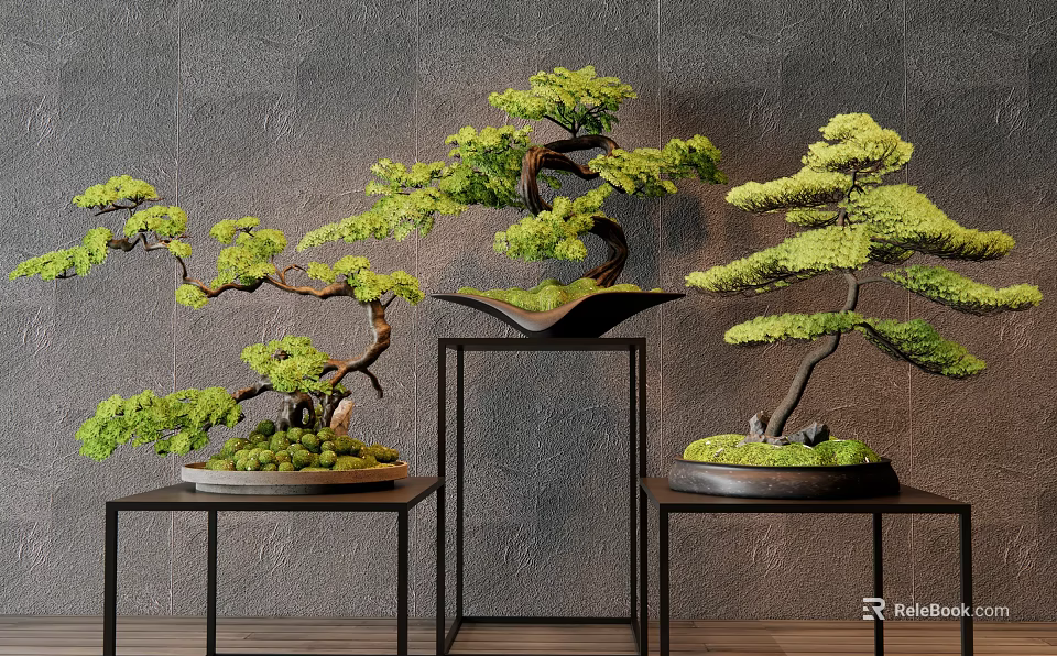Bonsai Trees with Curved Branches on Black Metal Stands Against Gray Wall and Wooden Floor 3d model 