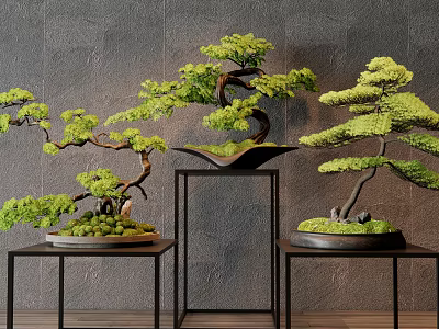Bonsai Trees with Curved Branches on Black Metal Stands Against Gray Wall and Wooden Floor 3d model