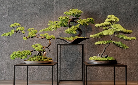 Pine bonsai Pine bonsai Moss potted plant 3d model