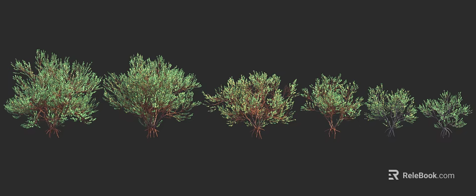 Three Green Leaf Trees With Brown Trunks On Black Background Natural 3d model