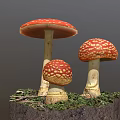 Vibrant Red White Spotted Mushrooms In Various Sizes Growing On Moss And Twigs Natural Habitat