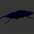 Shiny Blue Stag Beetle With Large Mandibles And Detailed Legs Against Dark Background