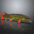 3D Model of Ferocious Fish With Long Snout Sharp Teeth Green Body and Orange Fins