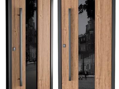 Wooden Doors With Glass Panels And Metal Handles Showing Building Reflections 3d model