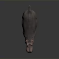 Detailed Realistic 3D Hippopotamus Model With Open Mouth On Dark Background