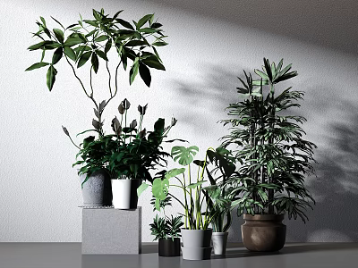 Indoor Decorative Potted Plants With Various Sizes Shapes And Neutral Colored Pots 3d model