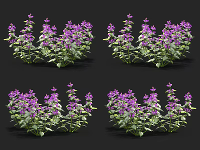 Vibrant Purple Flowers With Fresh Green Leaves In Multiple Plant Arrangement 3d model