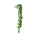 Lush Green Trailing Vine with Cascading Leaves for Home Decor