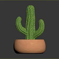 Green Cactus Potted Plant in Orange Clay Pot for Indoor Home Decoration