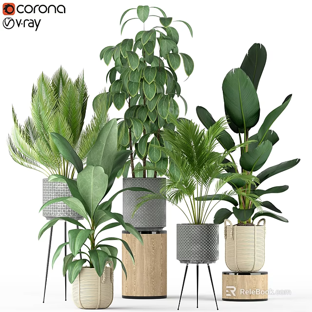 Indoor Decorative Green Plant Set With Various Planters And Leafy Foliage 3d model 