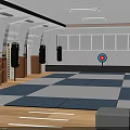 Martial Arts Training Room With Hanging Punching Bags Target And Checkered Mats