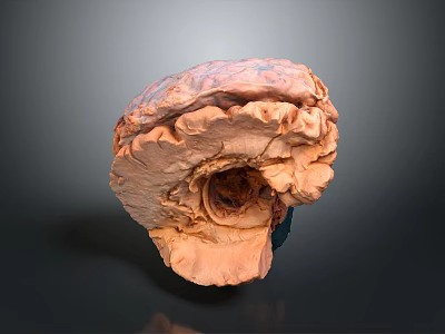 Artisanal Baked Bread With Rustic Crusty Texture Hollow Center And Golden Brown Color 3d model