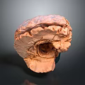 Artisanal Baked Bread With Rustic Crusty Texture Hollow Center And Golden Brown Color