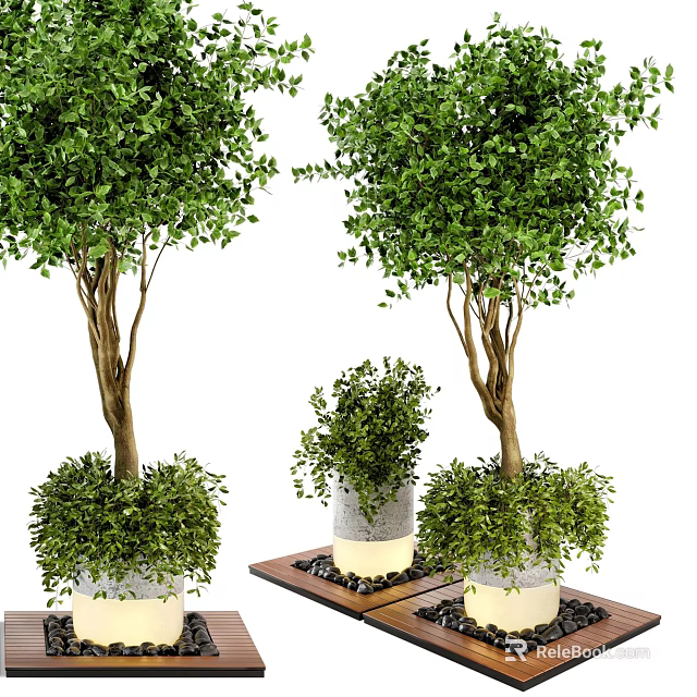 Cylindrical Tree Planter with Lush Green Trees and Black Pebbles on Wooden Platform 3d model 