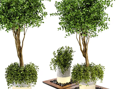 Cylindrical Tree Planter with Lush Green Trees and Black Pebbles on Wooden Platform 3d model