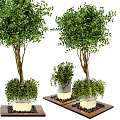 Cylindrical Tree Planter with Lush Green Trees and Black Pebbles on Wooden Platform