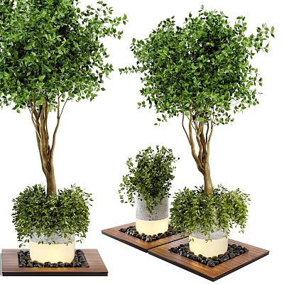 Cylindrical Tree Planter with Lush Green Trees and Black Pebbles on Wooden Platform 3d model