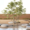 Outdoor Landscape Seats In Pebble Shape With Small Tree And Wooden Floor