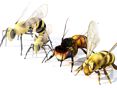Realistic Flying Animals Bees With Transparent Wings And Black Yellow Stripes 3d model Realistic Flying Animals Bees With Transparent Wings And Black Yellow Stripes 3d model