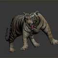 Realistic 3D Tiger Model With Striped Fur Standing On Gray Background 3d model